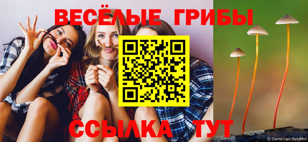 Псилоцибиновые грибы мухоморы Новокубанск