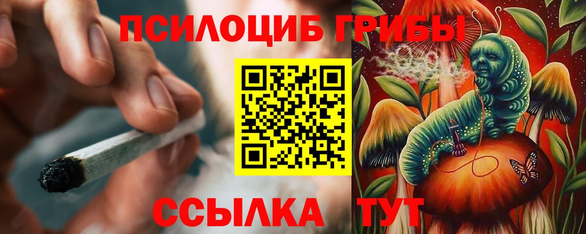 Новокубанск  Псилоцибиновые грибы Psilocybine cubensis  Вход с VPN 